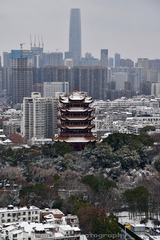 冰雪黄鹤楼