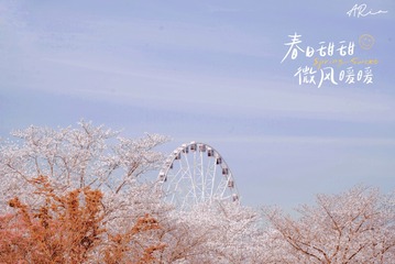 8369D552-82FC-4AAA-9DC8-A3325A126B1A/L0/001