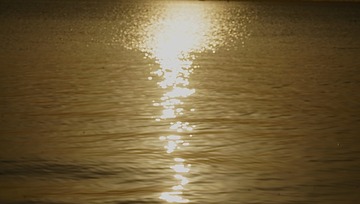 4F503616-8472-4E72-91EA-F696F63C0DEE/L0/001