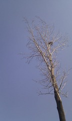 IMG_20111004_142023.jpg