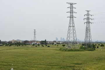 209072