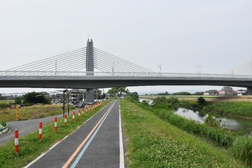 209036