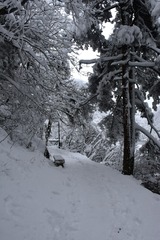 199020