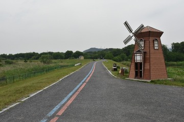 209086