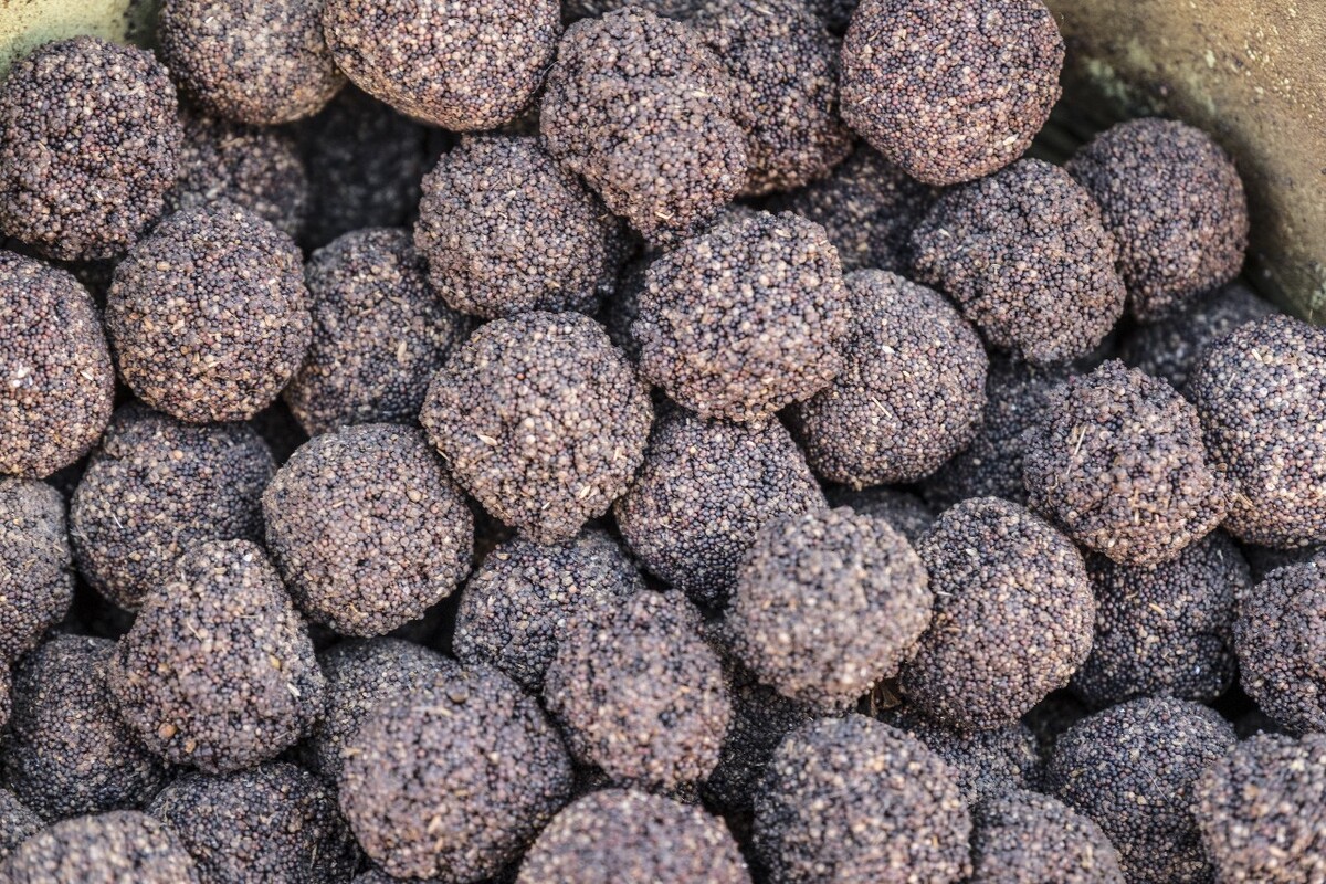 798