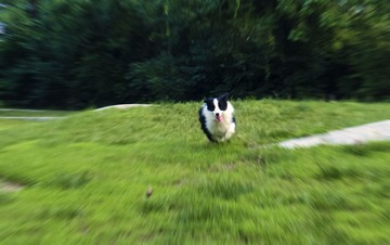 IMG_ 0798