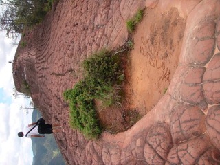 峰顶