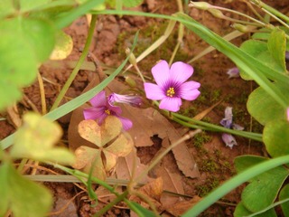 DSC05285.JPG