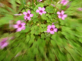 DSC05351.JPG