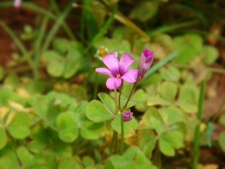 DSC05535.JPG