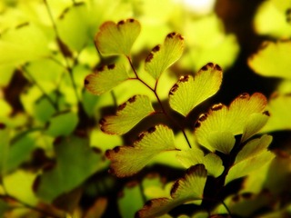 DSC05602jpg.jpg