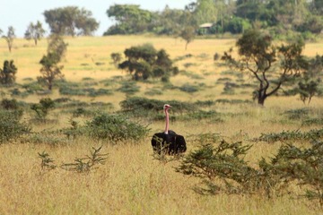 IMG_0802_