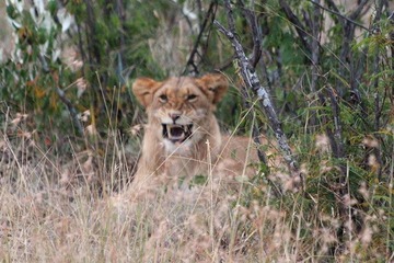 IMG_1293_