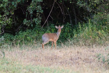 IMG_1519_
