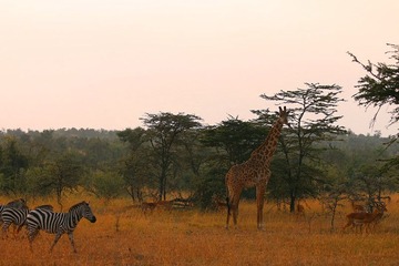IMG_1689_