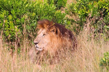 IMG_1930_