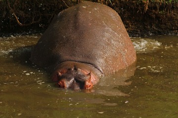IMG_1973_