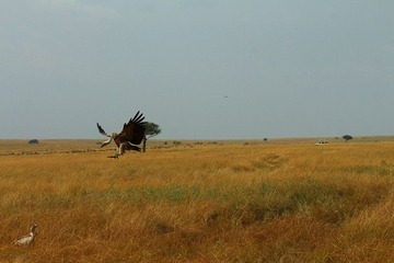 IMG_2148_