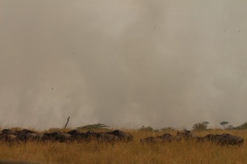 IMG_2222_