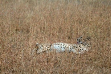 IMG_2475_