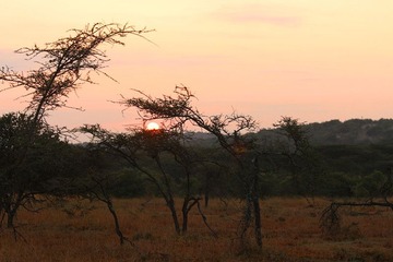IMG_2534_