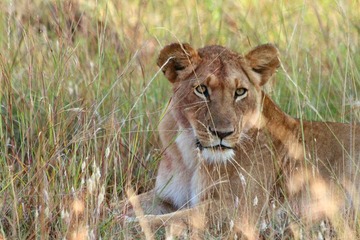 IMG_2620_