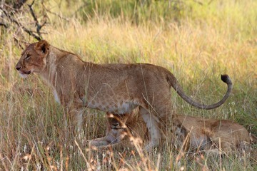 IMG_2623_