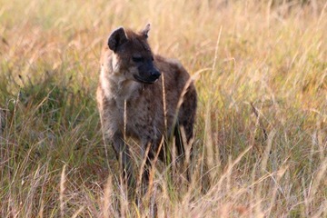 IMG_2634_