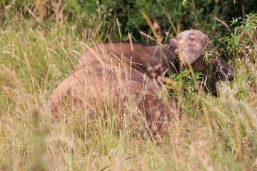 IMG_2802_