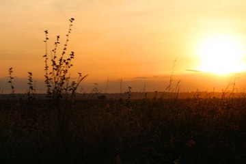 IMG_2899_