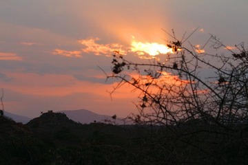 IMG_3170_