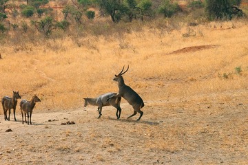 IMG_3320_