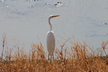 IMG_3325_