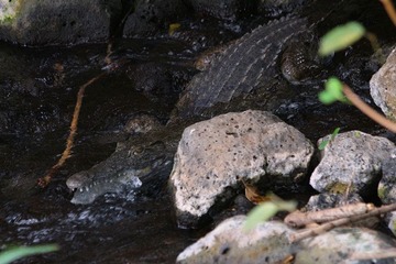 IMG_3432_