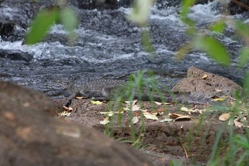IMG_3433_