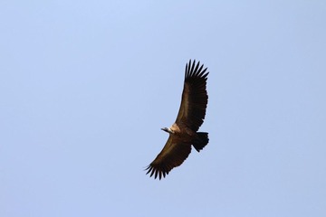 IMG_9753_