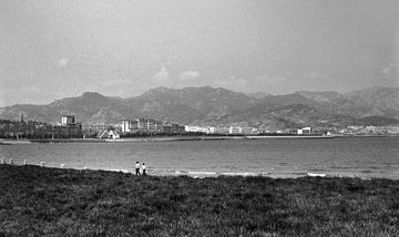 ILFORD PAN100(2) 8