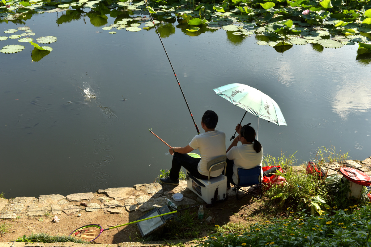 拍摄荷花时,在荷塘钓鱼的一对情侣.