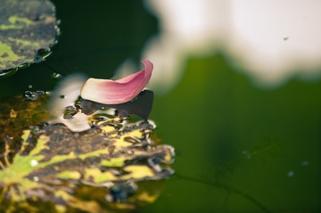 555741