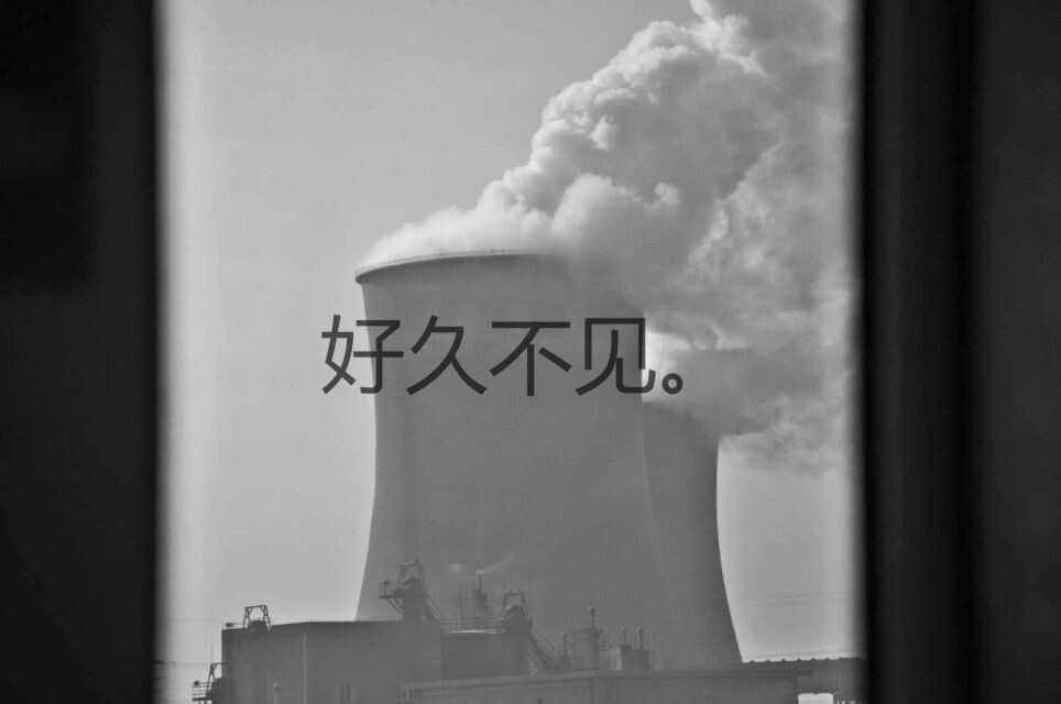 我们的自然。摄于：天津