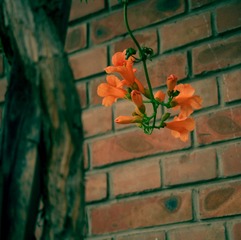 IMG_0769-1