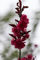 4.11小区-1801