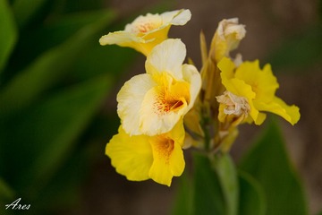 20140803-LX8A2321