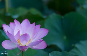 20140803-LX8A2330