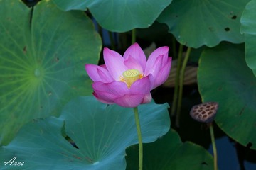 20140803-LX8A2339