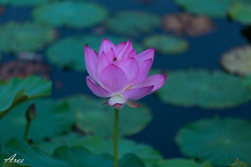 20140803-LX8A2345