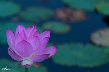 20140803-LX8A2346