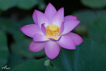 20140803-LX8A2360