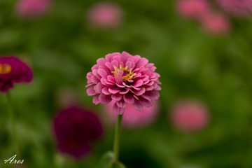20140803-LX8A2389