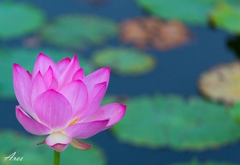20140803-LX8A2346